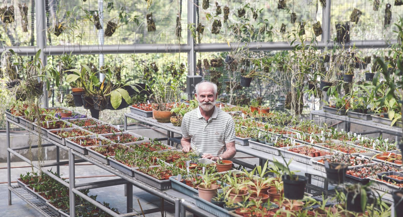 親子好去處 漫遊嘉道理農場欣賞植物學家繪圖展